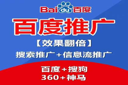 某电商平台的SEM推广实践与效果展示